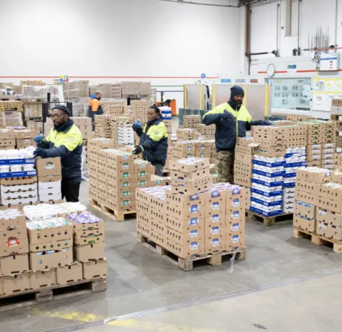 Photo d'un entrepôt Stef